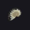 Canvas Zippered Book Tote Thumbnail