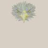 Canvas Tote with Contrasting Handles Thumbnail
