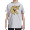 Youth DRI-POWER® ACTIVE T-Shirt Thumbnail