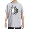 Youth DRI-POWER® ACTIVE T-Shirt Thumbnail