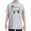 Youth DRI-POWER® ACTIVE T-Shirt Thumbnail