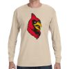 Adult DRI-POWER® ACTIVE Long-Sleeve T-Shirt Thumbnail